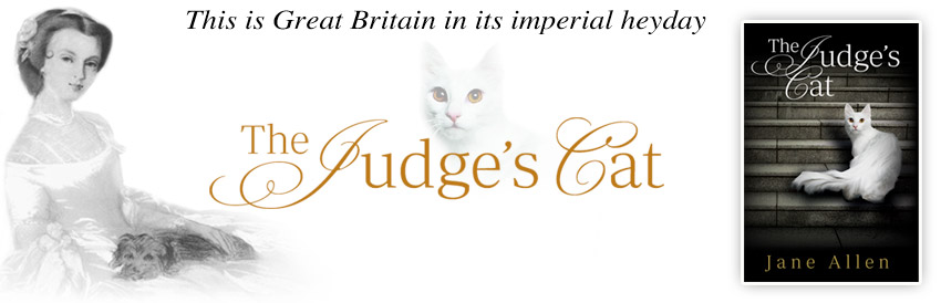 The Judge's Cat